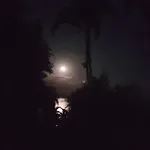 Casa com linda vista para o mar para amantes da natureza